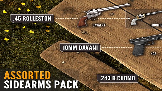 theHunter: Call of the Wild - Assorted Sidearms Pack DLC PC Steam CD Key screenshot 1