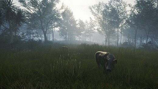 theHunter: Call of the Wild - Te Awaroa National Park DLC Steam CD Key screenshot 4